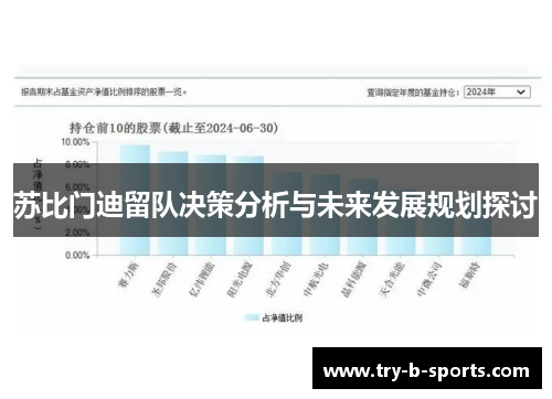 苏比门迪留队决策分析与未来发展规划探讨