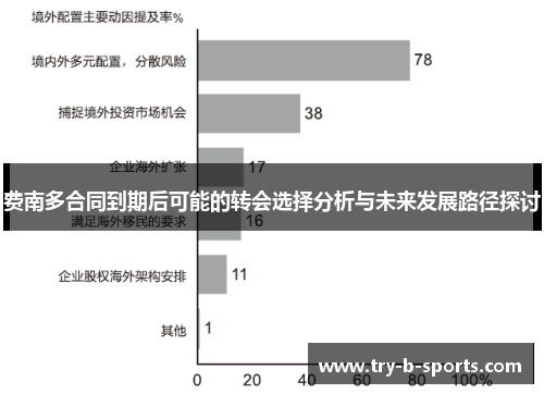 费南多合同到期后可能的转会选择分析与未来发展路径探讨