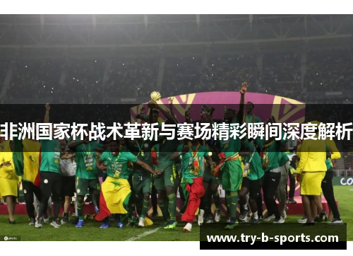 非洲国家杯战术革新与赛场精彩瞬间深度解析