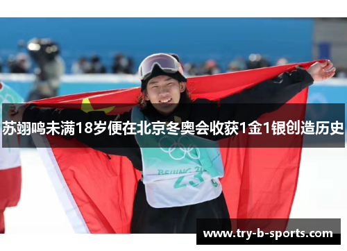 苏翊鸣未满18岁便在北京冬奥会收获1金1银创造历史