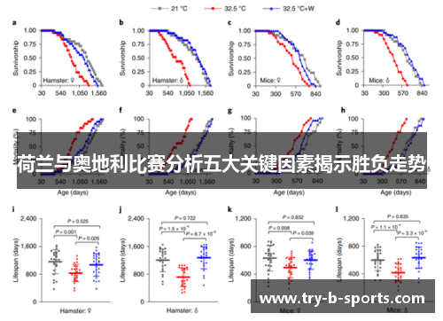 荷兰与奥地利比赛分析五大关键因素揭示胜负走势