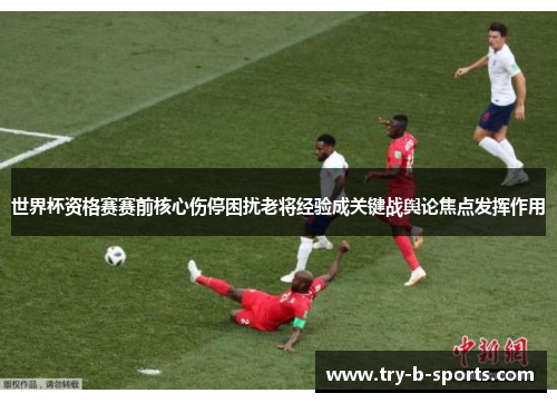 世界杯资格赛赛前核心伤停困扰老将经验成关键战舆论焦点发挥作用
