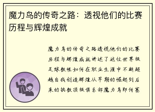 魔力鸟的传奇之路：透视他们的比赛历程与辉煌成就