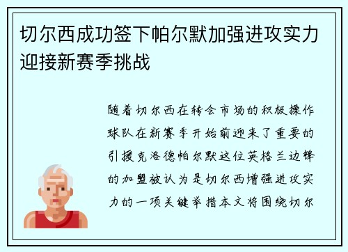 切尔西成功签下帕尔默加强进攻实力迎接新赛季挑战